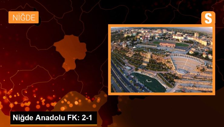 Niğde Anadolu FK: 2-1