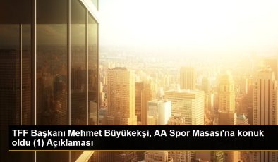 TFF Başkanı Mehmet Büyükekşi, AA Spor Masası’na konuk oldu (1) Açıklaması
