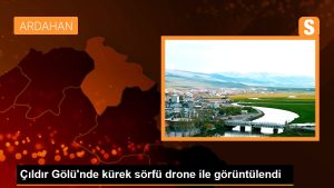 cildir-golunde-kurek-sorfu-drone-ile-goruntulendi-TKJg4UL1.jpg
