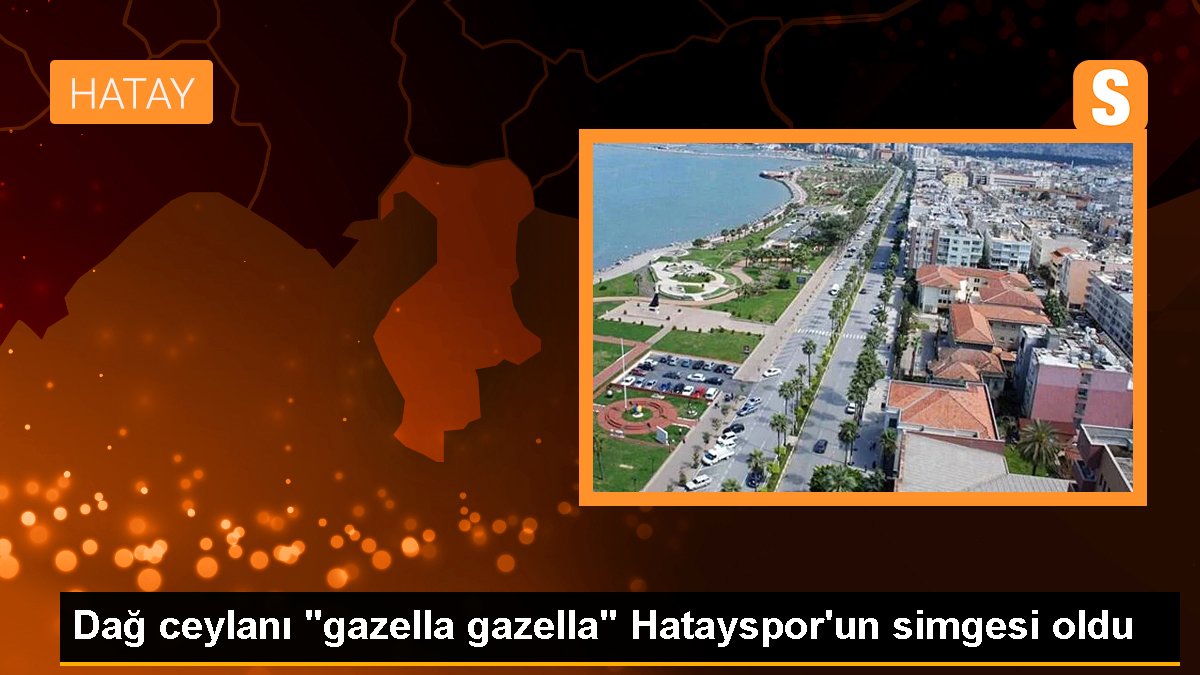 dag-ceylani-gazella-gazella-hataysporun-simgesi-oldu-J5HdOpfI.jpg