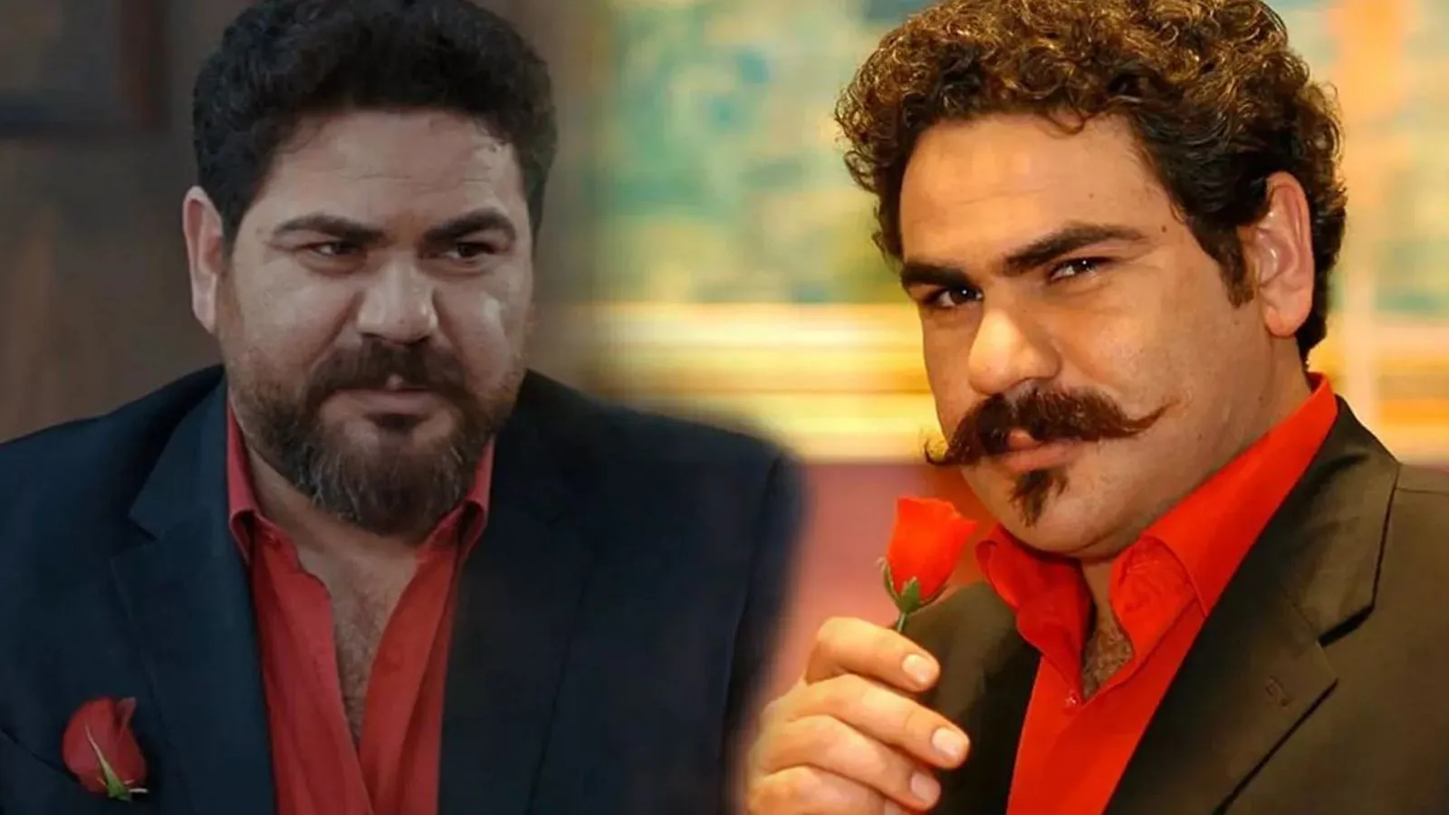 son-son-son-son-Z31b