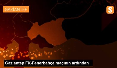 Gaziantep FK-Fenerbahçe maçının ardından