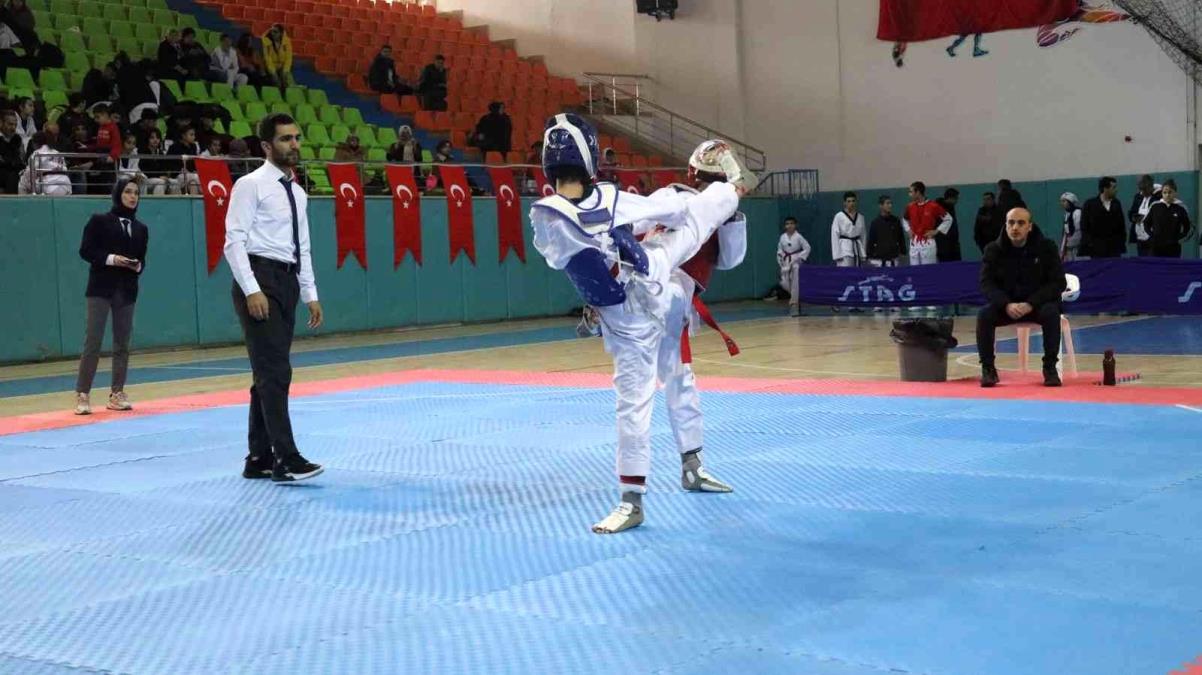 taekwondo-il-sampiyonasi-elazigda-basladi-p1pXhmj9.jpg