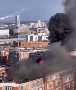 66e9cf1e5af32993__w1200xh1428