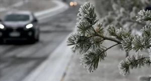 670f583dc76d6420__w1200xh649