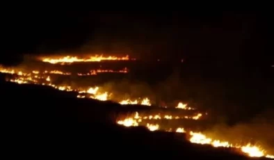 Hakkari Yüksekova’da Kuş Cenneti Alev Alev Yandı