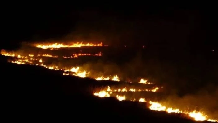 Hakkari Yüksekova’da Kuş Cenneti Alev Alev Yandı