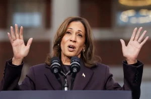 672bf3ff2fc53858__w1200xh782