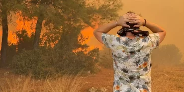 68833f92991930bb2462c1e1