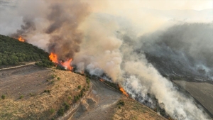 whatsapp-image-2025-07-01-at-15-jvhx