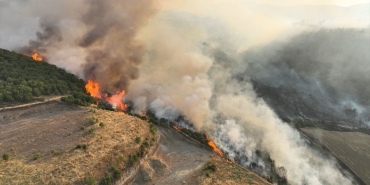 whatsapp-image-2025-07-01-at-15-jvhx