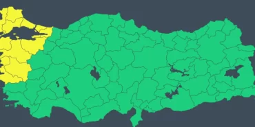 689c09bde2afd954__w1200xh532