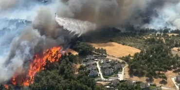 9bd2dce7-bda8-429a-bbe5-93018a0b0155