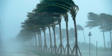 1713340309461-firtina