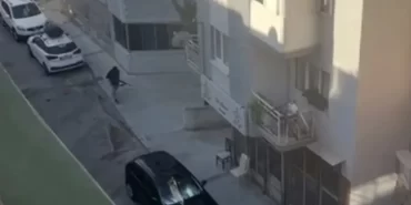 68be91a326922955__w1200xh668