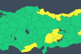 68ccd2682b09c938__w1200xh540