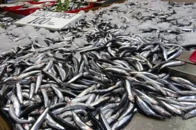 68d25307b5f71739__w1200xh675