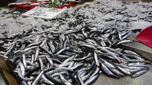 68d25307b5f71739__w1200xh675