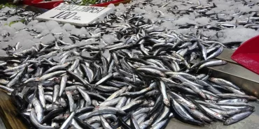 68d25307b5f71739__w1200xh675