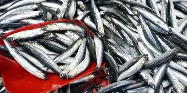 614c718386b2471c8cc6c834