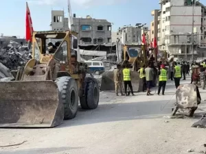 68f6b206b8f55908__w1200xh900