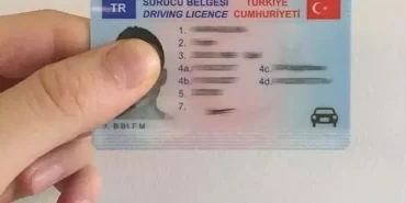 image_870x_6902947e171c2