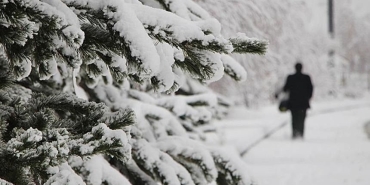 19289291-860x480-bpae